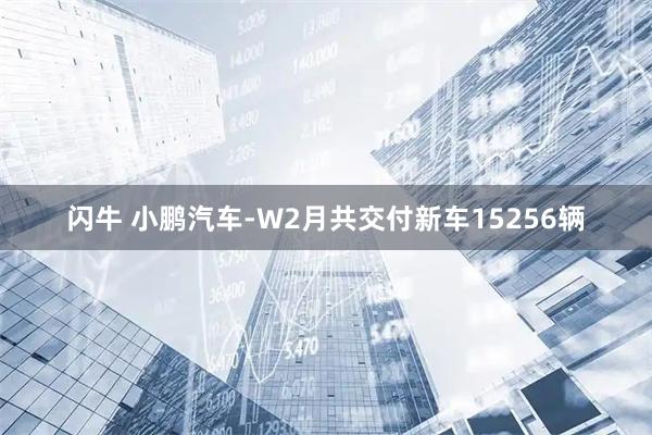 闪牛 小鹏汽车-W2月共交付新车15256辆