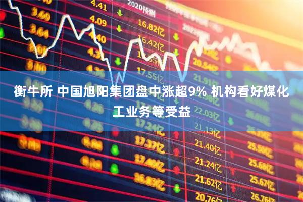 衡牛所 中国旭阳集团盘中涨超9% 机构看好煤化工业务等受益