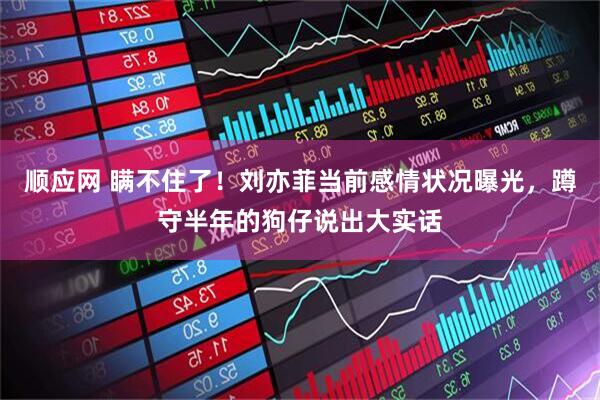 顺应网 瞒不住了！刘亦菲当前感情状况曝光，蹲守半年的狗仔说出大实话