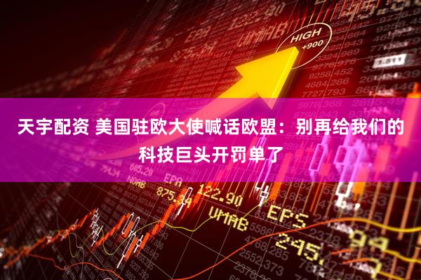 天宇配资 美国驻欧大使喊话欧盟：别再给我们的科技巨头开罚单了