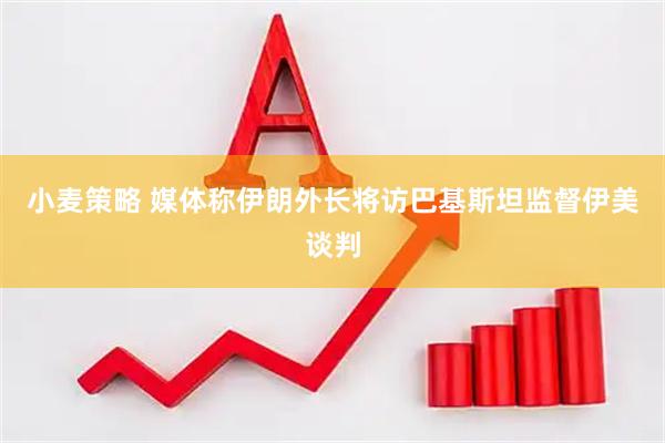 小麦策略 媒体称伊朗外长将访巴基斯坦监督伊美谈判