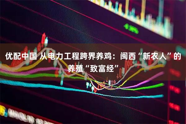 优配中国 从电力工程跨界养鸡：闽西“新农人”的养殖“致富经”