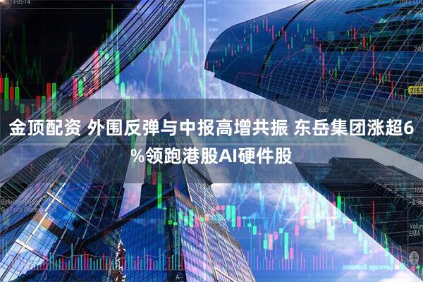 金顶配资 外围反弹与中报高增共振 东岳集团涨超6%领跑港股AI硬件股