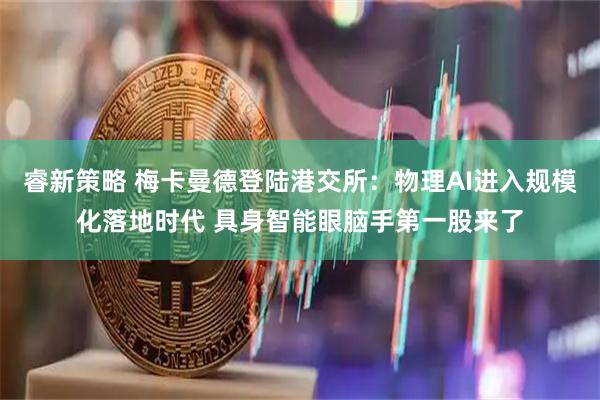 睿新策略 梅卡曼德登陆港交所：物理AI进入规模化落地时代 具身智能眼脑手第一股来了